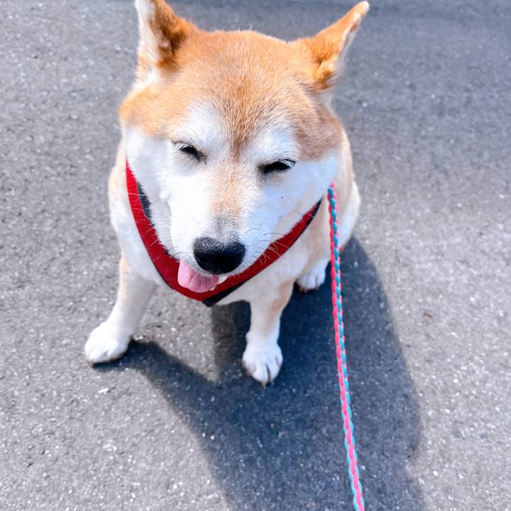 C7ae9beb 833d 4e46 8f3e aa7798f6bb61 1714006803694