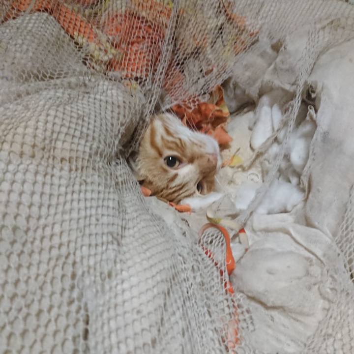 C7aeab3d 0548 4d66 b219 bb09b8e10422 1648932777024