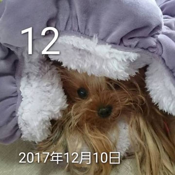 C7aeaff1 0b6d 471e b3cb 89984e6c8089 1734033056061