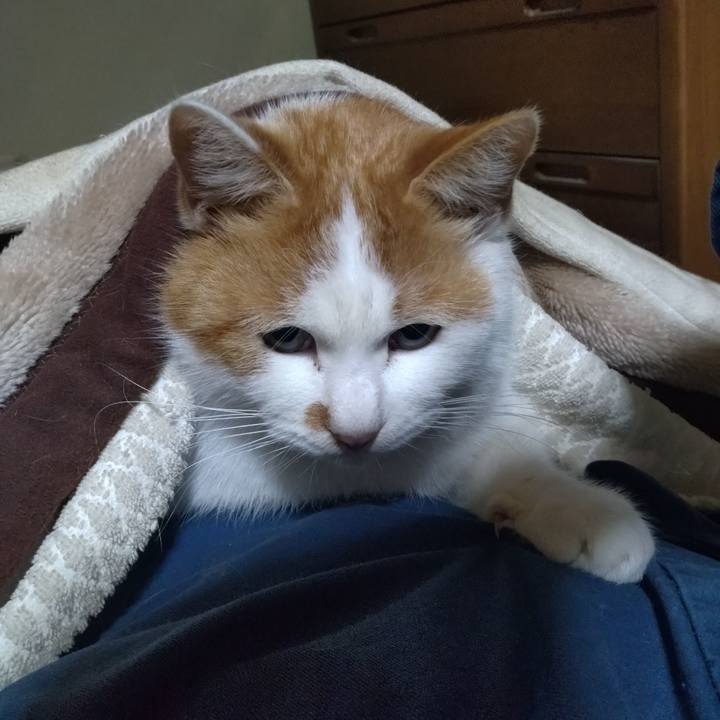 C7aece6c c77f 4666 bfc4 9cad07b52591 1768132640168