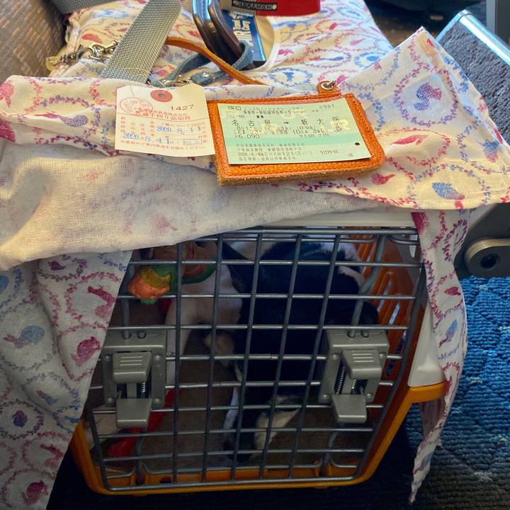 C7aed31d d80f 4072 9ae5 ff7ee90ca293 1597131756484