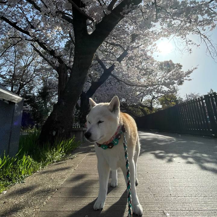 C7aed557 2897 4180 90e5 d1dce2f87c25 1649139511875