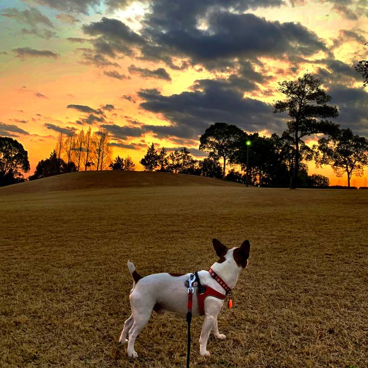 C7aeea98 a4f3 4e76 85fb ed3301d46e46 1577541202594