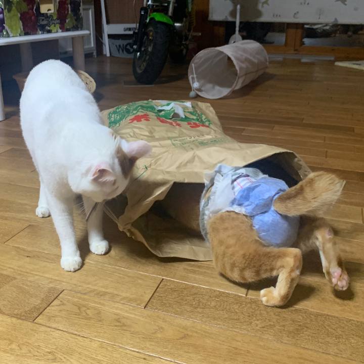 C7af3d64 7c85 435f ad36 bd594dd9a9d1 1665748405813