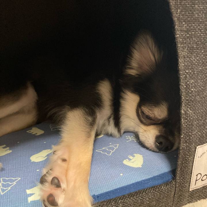 C7af7615 1fa9 4878 a8ad ec6cad260175 1626961788057