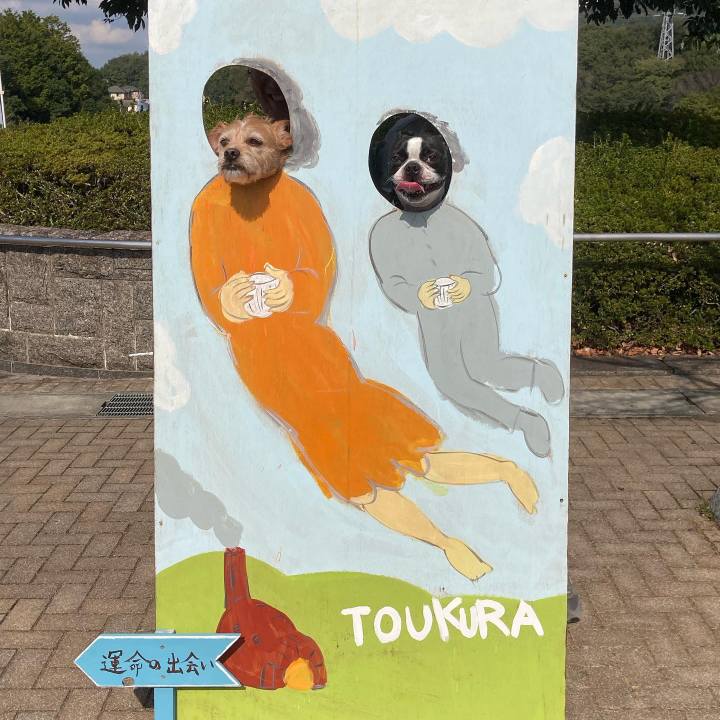 C7af83c8 a3b3 4ee5 9523 da907740802a 1698972376519