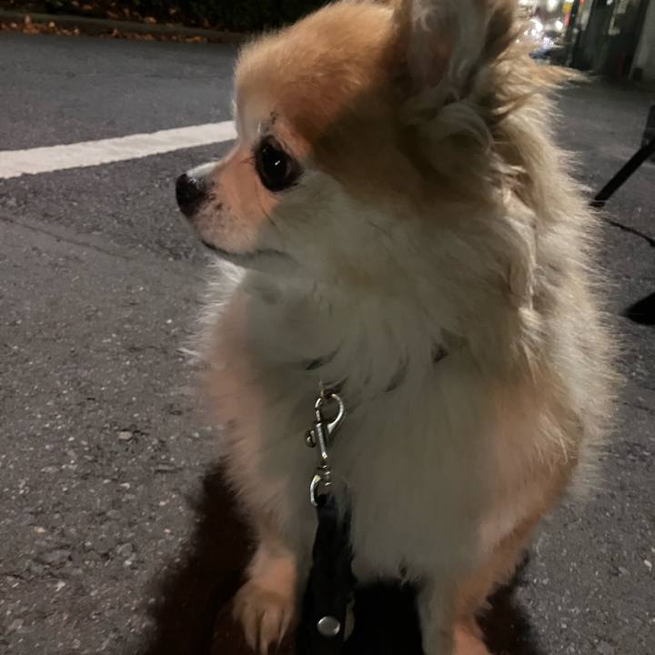 C7af96d4 4b77 4b9f 981b fb5bc2d54349 1764688662403