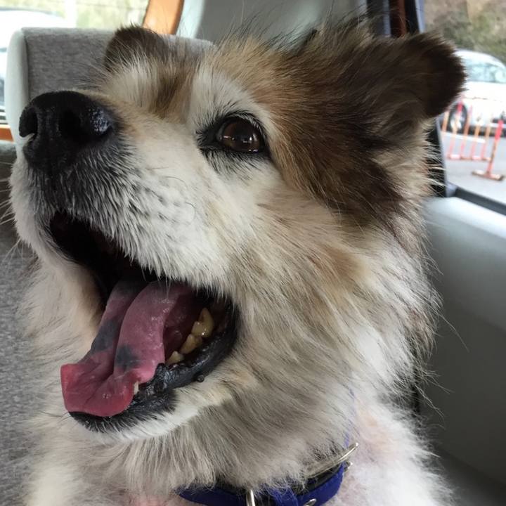 C7af9bb2 67fd 469f 8a37 fc4d7774bc60 1603938681557