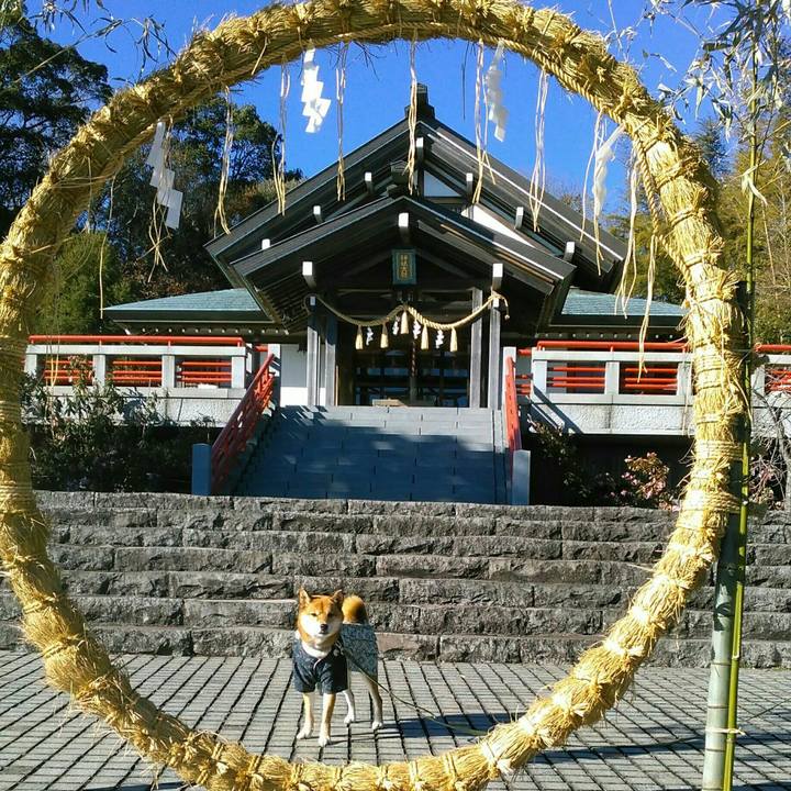 C7afcd5c cb22 4d1f ad7f 114b09bfd470 1514186299808