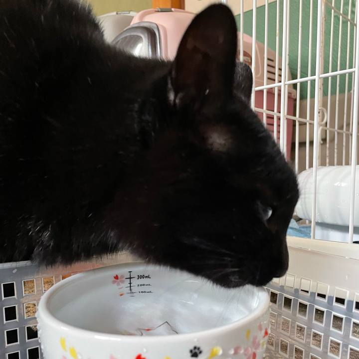 C7afffd5 35ad 4391 a338 6350377cb980 1641695591901