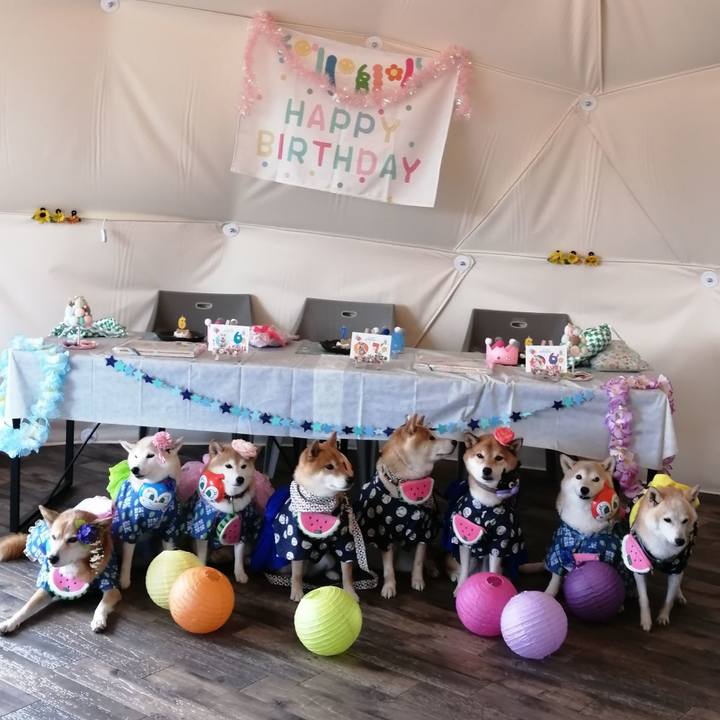 C7b0151e 73ce 464c 90da 1406182ca375 1692929370378