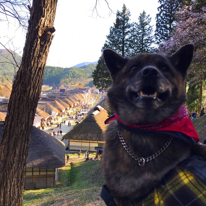 C7b01b7a f892 40c8 a4c1 c00c39e5f40d 1556868486548