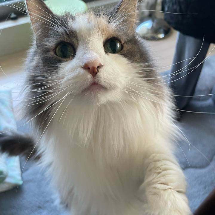 C7b06d3c b1e0 4fd7 8182 7cf4346fddaf 1736483175373