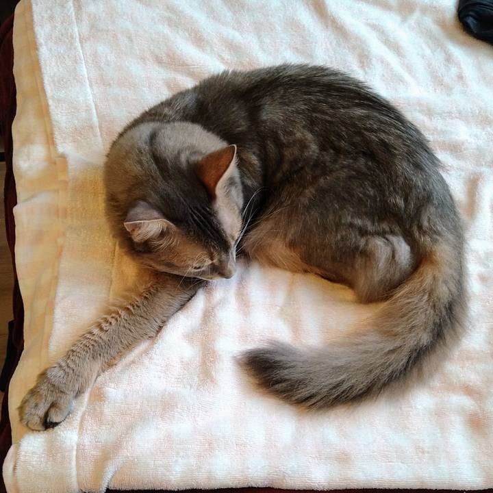 C7b07c0f 5edf 4c5e 8316 c684b4d36393 1601022240502