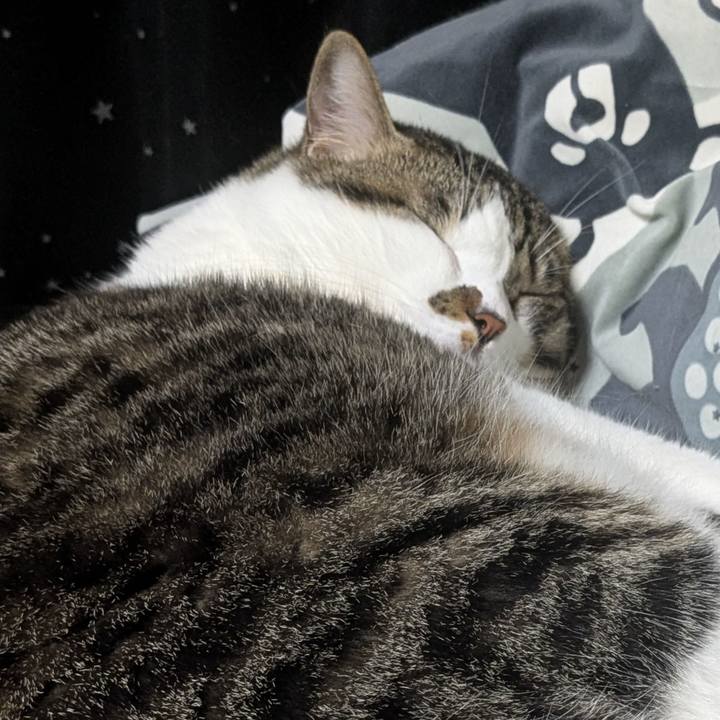 C7b08d58 1eb8 4658 81da 06d26e33429a 1756642649512