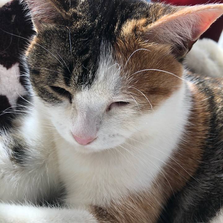 C7b0bed6 97db 431e bc6f 8695195272e1 1583907557898