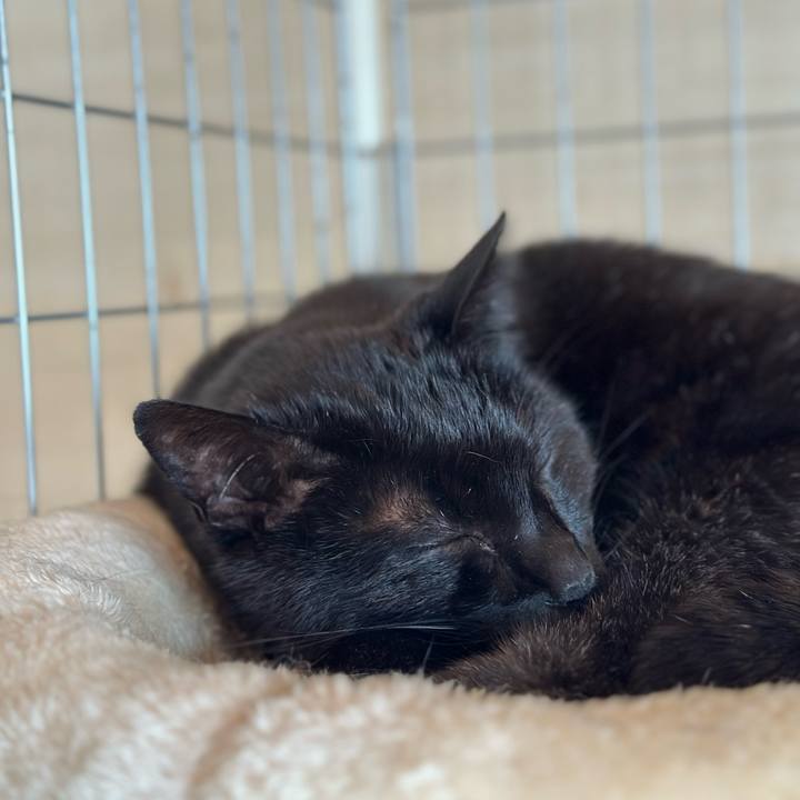 C7b0cd30 72be 4eaf b8aa 332017ab467c 1682389152908