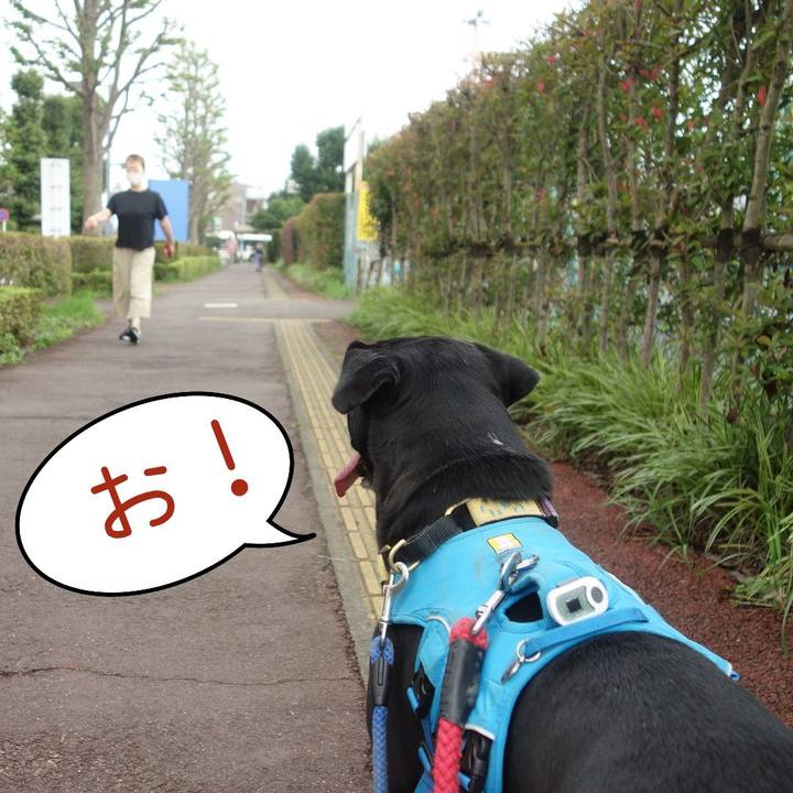 C7b0e0b3 5434 41e4 8ce8 c7c6a1c888a4 1626224270417