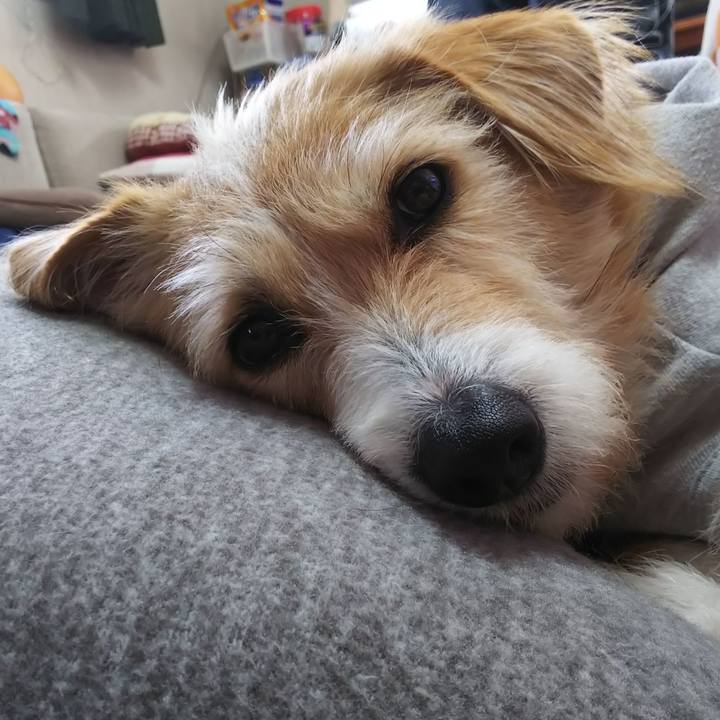 C7b130a3 cf0f 4815 b74d e7b8166c1d4e 1549771052554