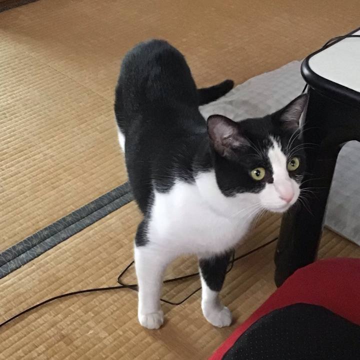 C7b15dbd da16 4ace 947d fda3dadec4e4 1689338764821