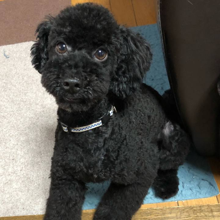 C7b165b0 72f7 4324 9f65 dc6dae633c09 1532351272437