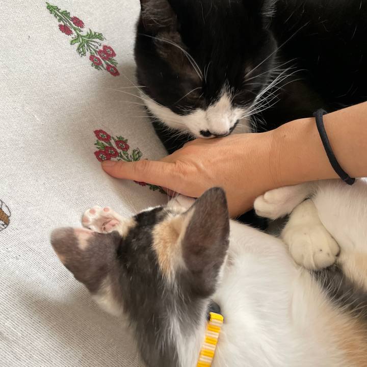 C7b165d5 7f1a 4a7d 8271 6e9b385eacec 1658372545963