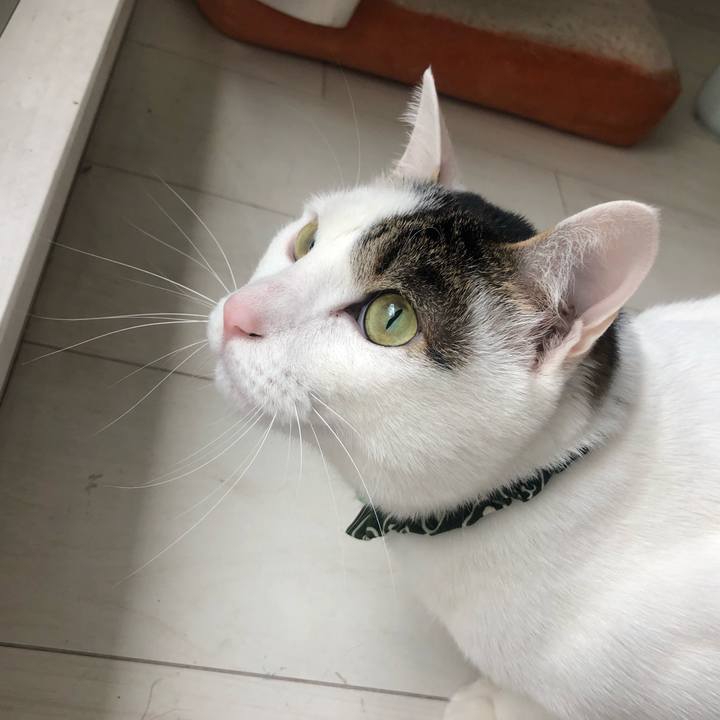 C7b181be a8e3 46b2 90eb f92ca282a93d 1560295649909