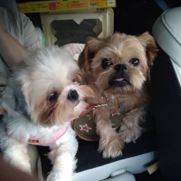 C7b19934 868f 49e4 94cc edba72992946 1599390979186