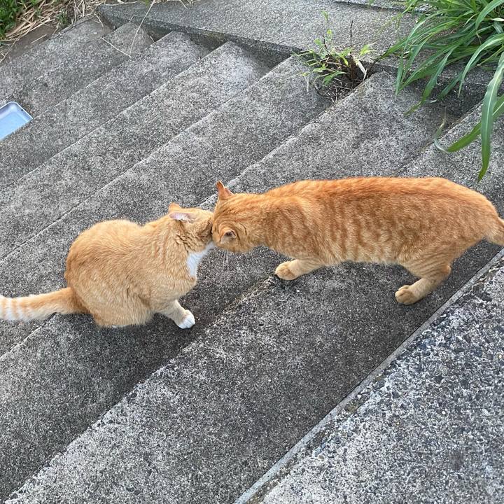 C7b19c34 2aa3 47f1 b60c 70edeb378cc1 1698065701872