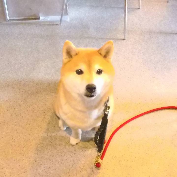 C7b1bc5d 8f2a 43fb 8f64 565846a93028 1771658121920