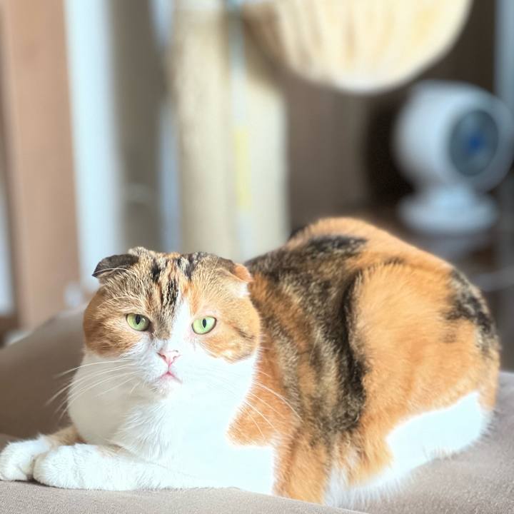 C7b1e33e c811 4a49 8f8b 57b8b3a5f83c 1688261240099