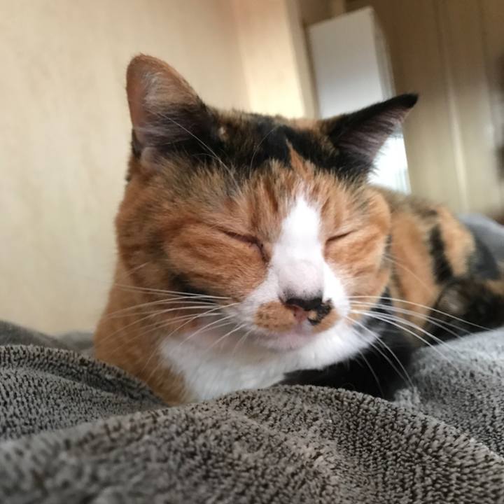 C7b1fe85 90f3 417a 9866 29f145e72ad5 1507888032249