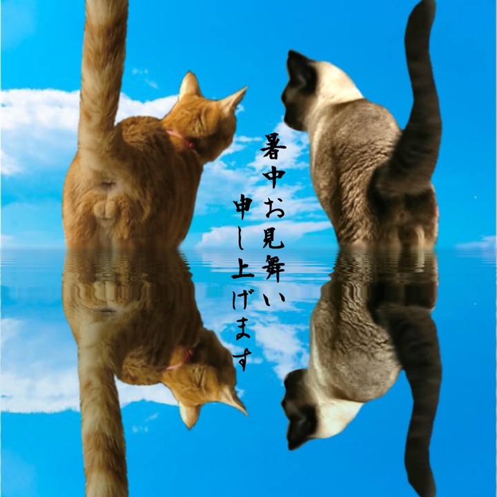 C7b2013d 3154 4c4e 9101 c58920a7ffdc 1626494532922