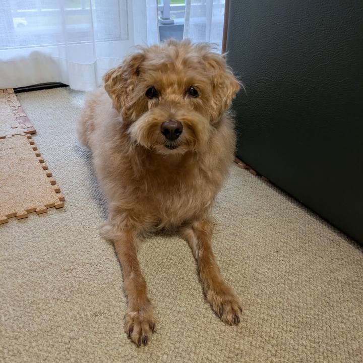 C7b244f0 7670 4ac6 990d db6e378cb53b 1756457017297