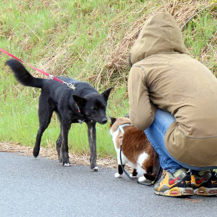 C7b24a23 838c 4e65 9a28 b3ed96bce1f8 1508837580988