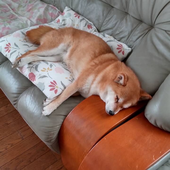 C7b250d5 caf8 4f47 8499 fbd80e75a1d1 1747628911809