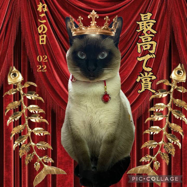 C7b25124 1915 4d75 9f0c 763602935af3 1740211607088