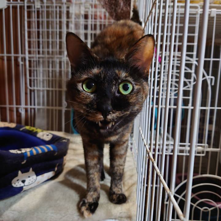 C7b26d2e 1bf1 4a7f b63b 1b09dc4ba721 1717728058129