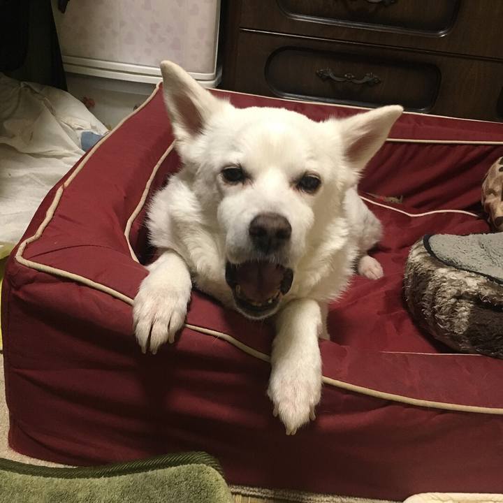 C7b29f1b 426b 48a9 855d 572fa107e76e 1524788220350