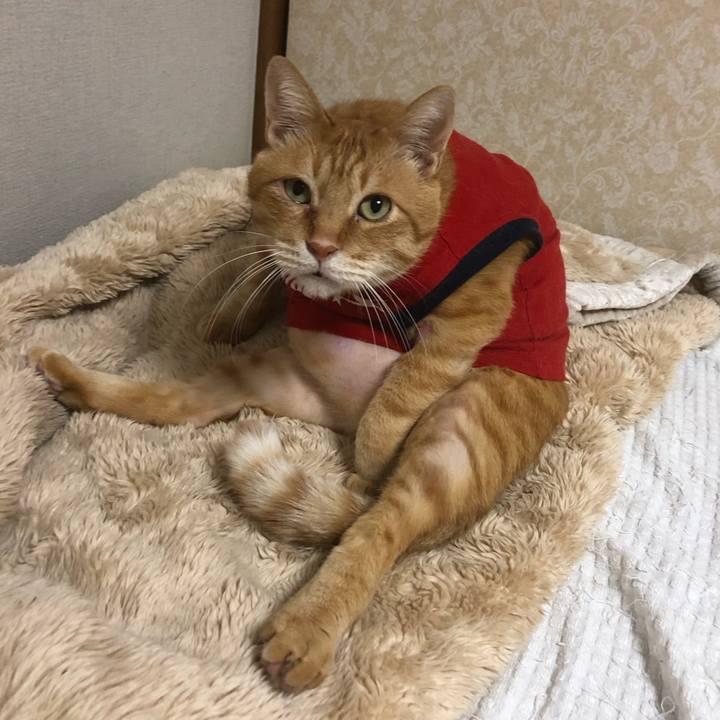 C7b2a4e6 c59e 44da 8484 2d7abd648856 1636290159426