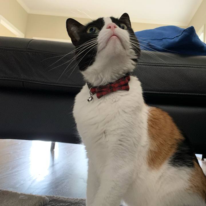 C7b2e59a d098 44b0 8b80 89ea6eb27f48 1628780391895