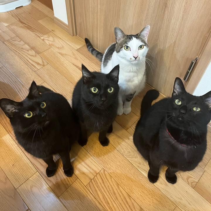 C7b303ae 1c13 4657 ba45 5b63fde7c829 1681390543173