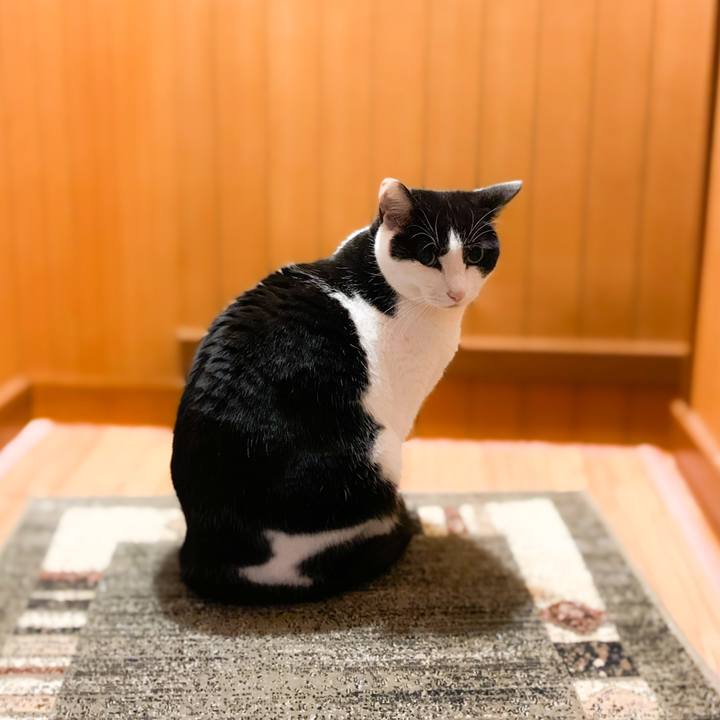 C7b30c12 5ea5 4f13 a71b 383193aa03bc 1578881318163