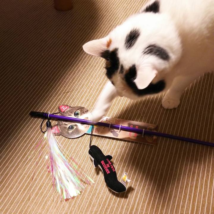 C7b33090 42f5 4982 871c 5b72f3e43df4 1563877163164