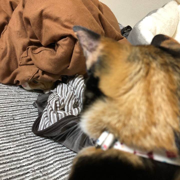 C7b3328b 2569 4ab8 9f2e 5d64b283f9b4 1571145682433