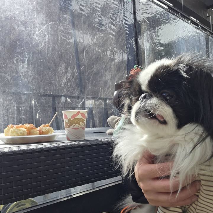 C7b33d68 ad31 45fc 8d9e 6c119389fb81 1769761378274