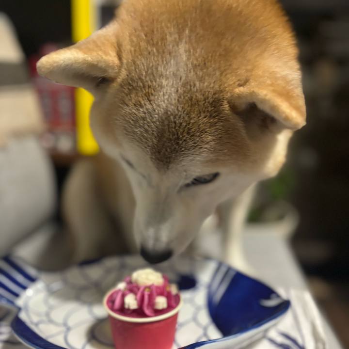 C7b350f0 5fbf 49de 800b ca9534d87033 1737072064883