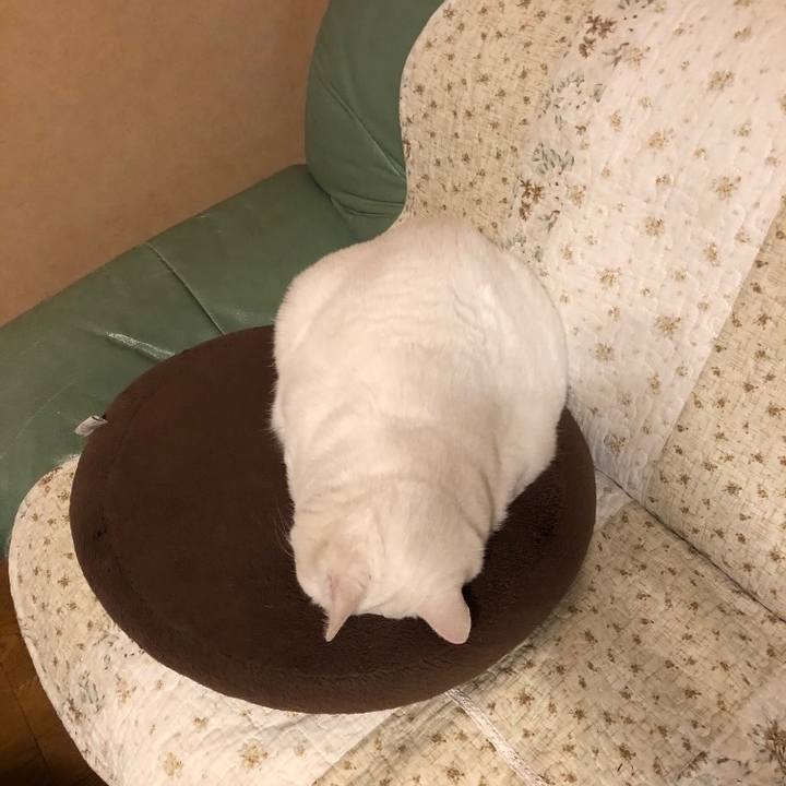 C7b37013 b893 4a22 8fd9 bd86f040808f 1642540935412