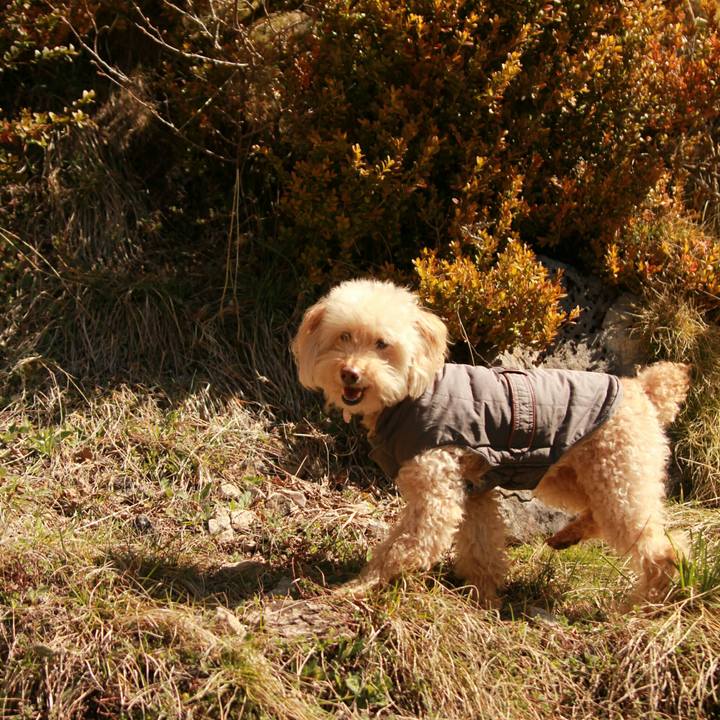 C7b38d99 6c2b 4638 8863 b8e7205c540e 1556626453649