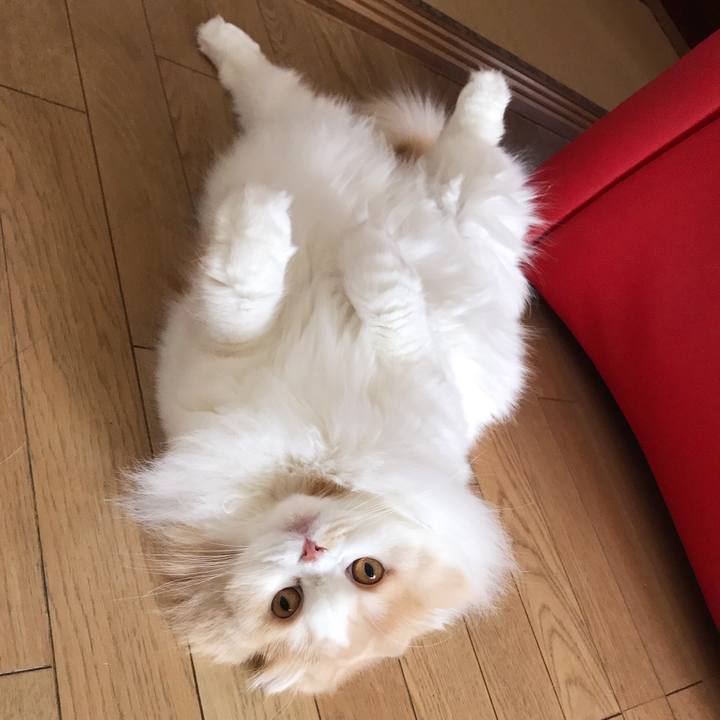 C7b3aec4 e8f0 4b10 9776 ed02dd827669 1517102283881